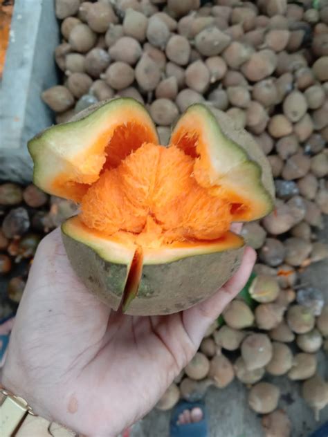 pinay tsupa|Chupa .